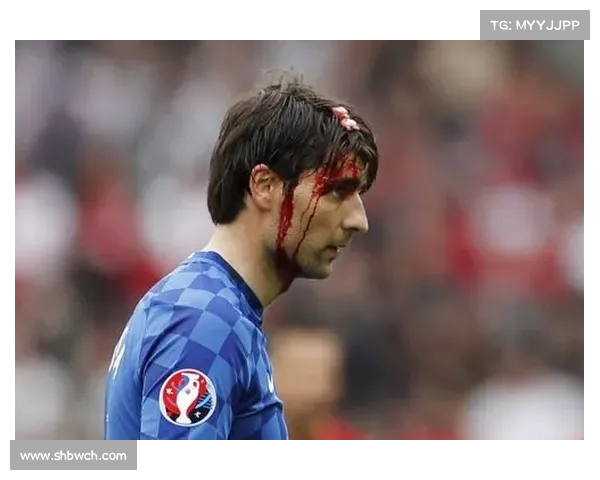 科乔拉什维利在本届欧洲杯中表现惊艳,主动压迫对抗创纪录达(科 乔尔) 科乔拉什维利在本届欧洲杯中表现惊艳,主动压迫对抗创纪录达(科 乔尔)