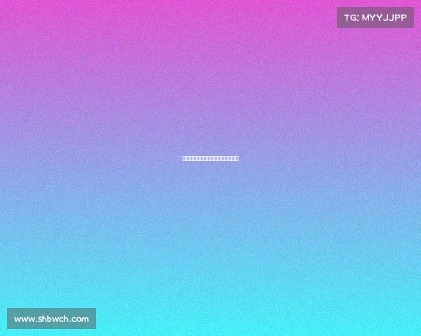 湖人队新赛季表现惊艳，收获两连胜